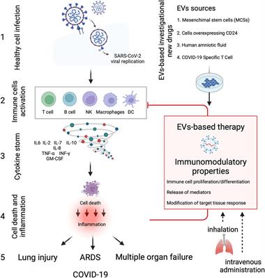 Exploiting Extracellular Vesicles Strategies to Modulate Cell Death and Inflammation in COVID-19